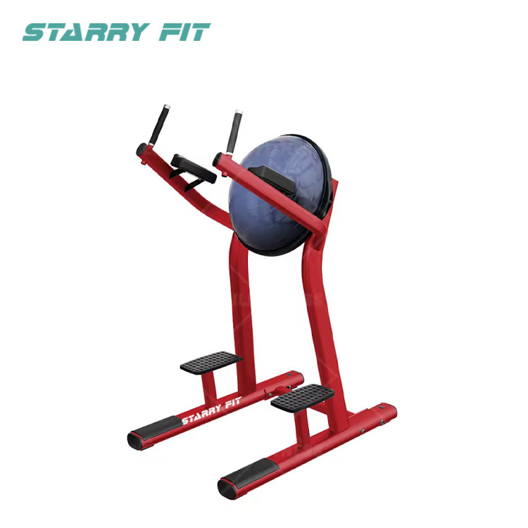 Bacak Kaldırma<br />LF-R-SLR Bacak Kaldırma<br />LF-R-SLR